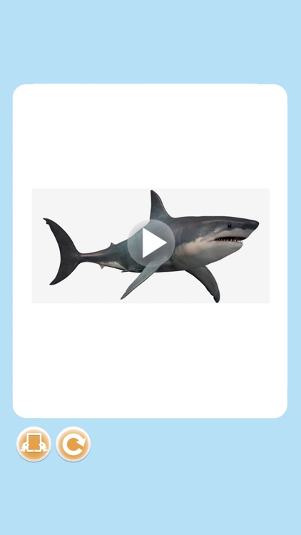 Imagerie pourquoi interactive