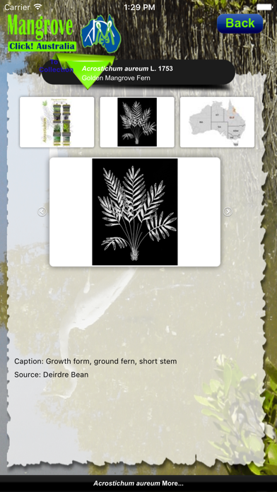 Screenshot #3 pour Mangrove AU