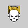 QAP Paccola icon