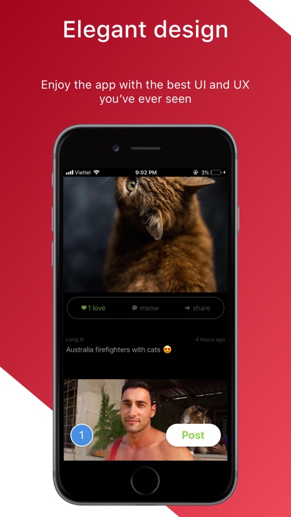 KittyKrush - Cat pics & videos screenshot-3