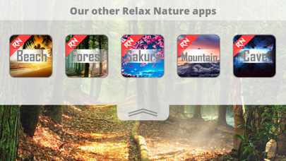 Relax Nature: Forestのおすすめ画像3