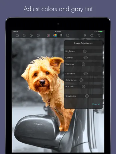 Captura de pantalla de Color Splash For IPad en iPhone 5