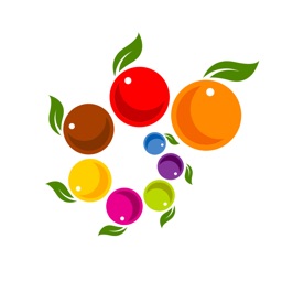 Camargo - Frutas da Estação