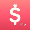 Minibudget Pro icon