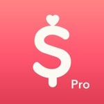 Download Minibudget Pro app