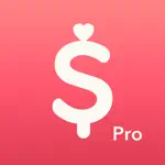 Minibudget Pro App Problems