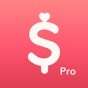 Minibudget Pro app download