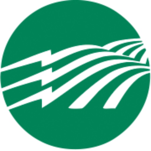 Woodruff Electric Download