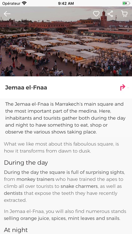 Marrakech Guide Civitatis.com screenshot-8