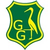 Groen-Geel IZZIGOLF icon