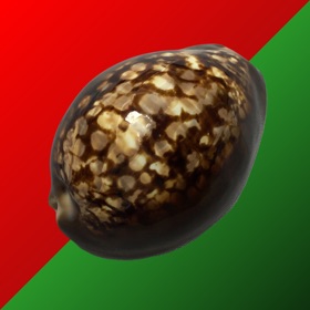 螢幕擷取畫面 (4) Cowry Dice