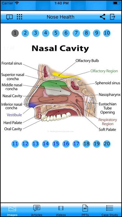 Nose Health iPhone screenshot
