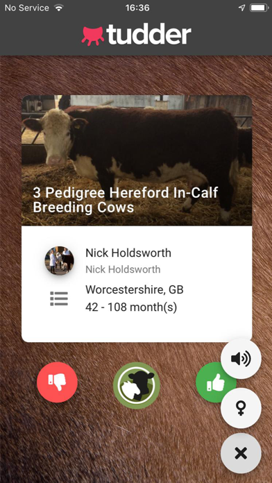 Tudder iPhone screenshot 2 - Business app