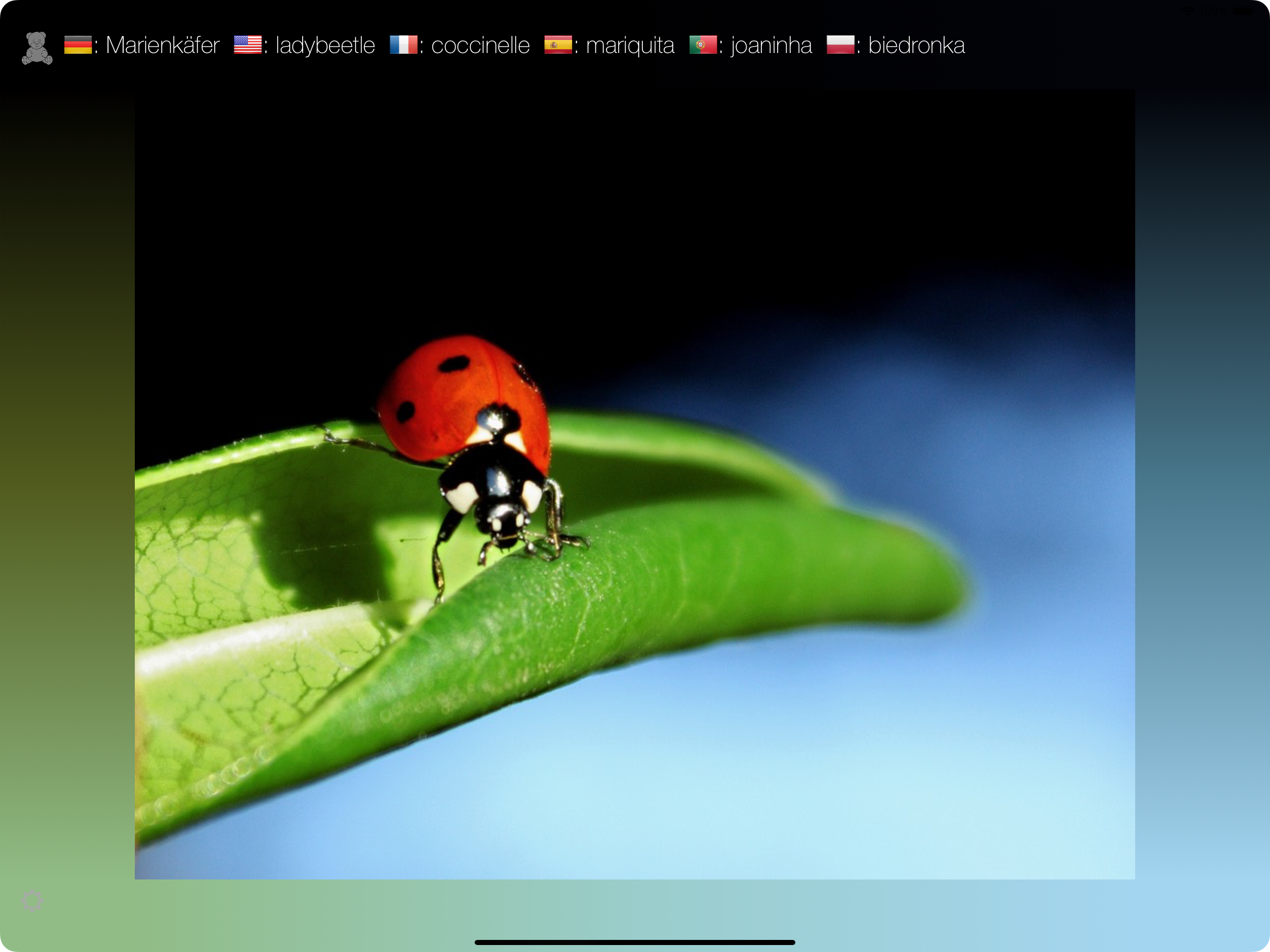First Words - A Picture Book screenshot 9