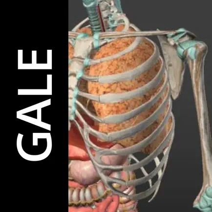 Gale Interactive Human Anatomy Cheats