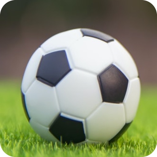 Carolina Panthers Football IQ