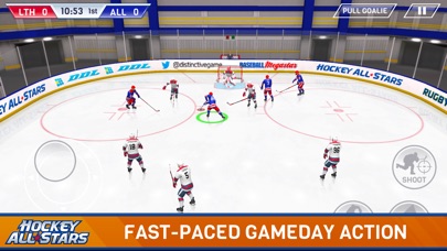 Hockey All Stars (VIP)