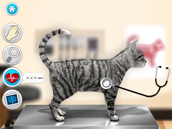 Doctor Games: Pet Vet Cat Care iPad app afbeelding 2