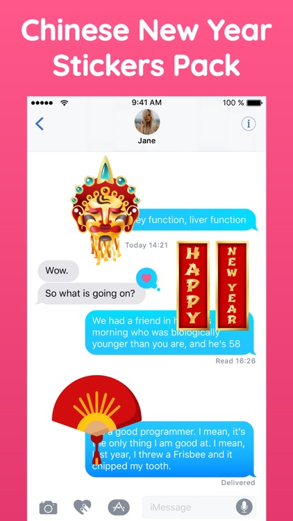 Chinese New Year Sticker! Pack
