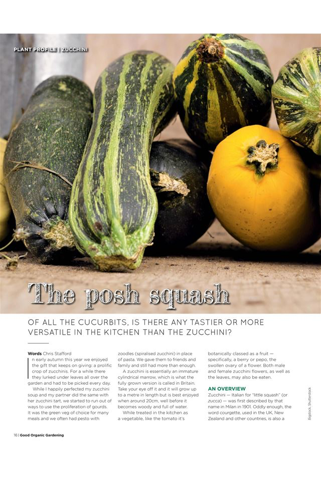 Good Organic Gardening