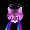 Cat Laser Toy - iPhoneアプリ