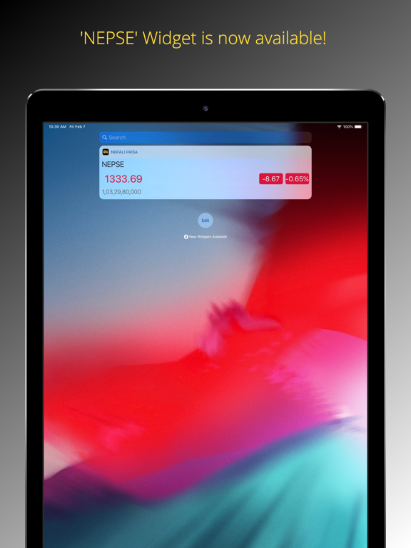 Nepali Paisa iPad screenshot 4 - Finance app