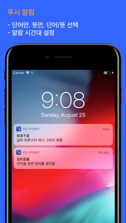 사자 성어 (Flashcards M) screenshot-6