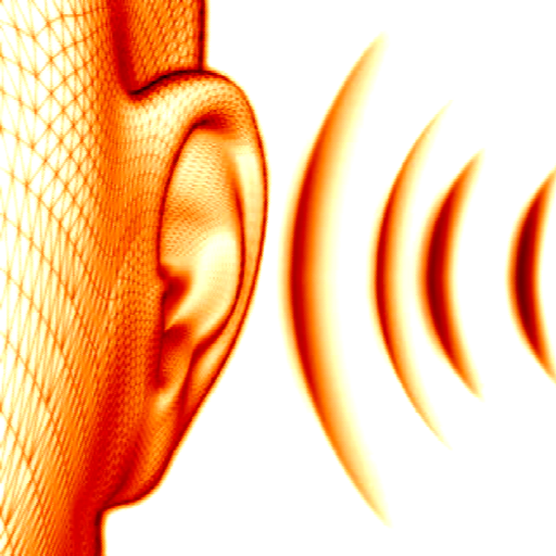 L'oreille musicale PRO