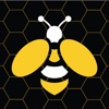 Honey Hive Game