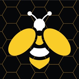 Honey Hive Game