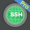 iTerminal Pro is the Pro Version of iTerminal on iPhone
