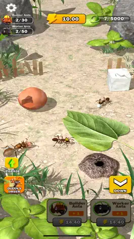 Game screenshot Ant War! apk