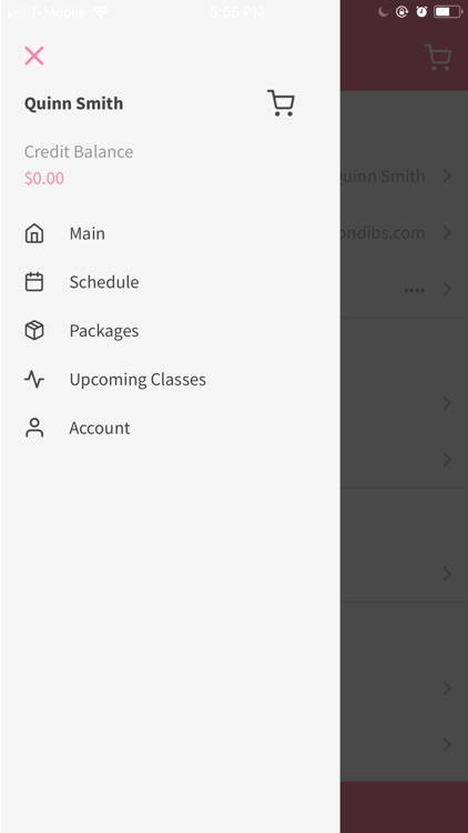 Everyday Ballet screenshot-3