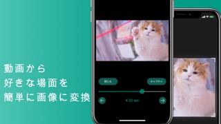 動画から画像のおすすめ画像1