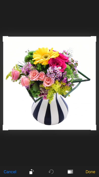 GotFlowers Screenshot