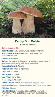 shroomify - mushroom id usa not working image-2