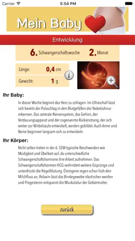 Game screenshot Mein Baby - Ich bin schwanger apk