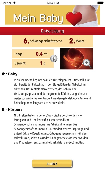 Mein Baby - Ich bin schwanger