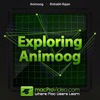 Explore Guide for Animoog