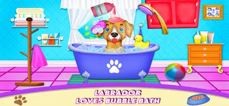 Labrador Pet Daycare