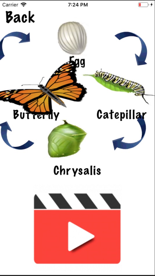 #4. Life Cycle - Insects Arachnids (iOS) Podle: Kok Leong Tan