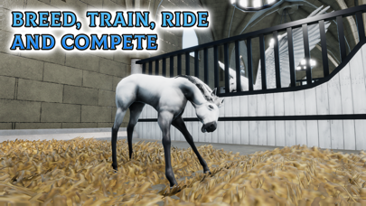 Horse Academy: Ride & Compete Screenshot