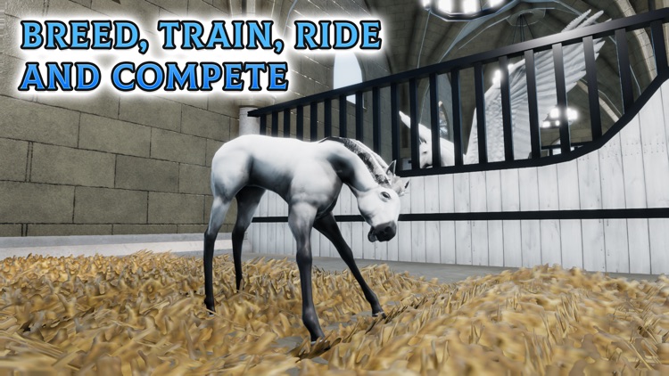 Horse Academy screenshot-5