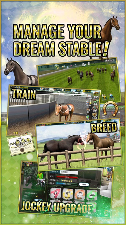 Champion Horse Racing screenshot-4