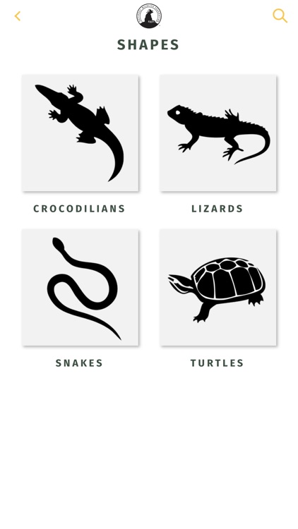 NWF Guide to Reptiles screenshot-4