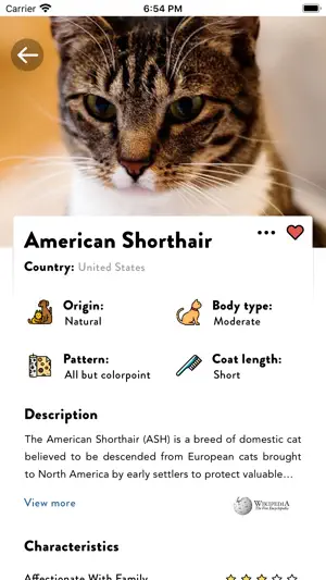 Cat Breed Scanner — CatsPedia screenshot 2