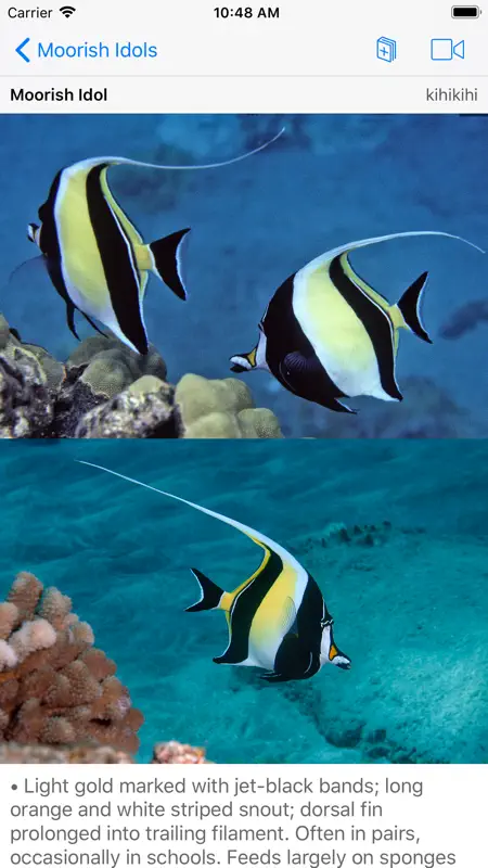 Snorkel Fish Hawaii for iPhone screenshot 1 of 10