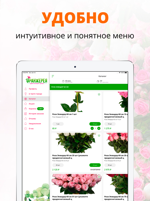 Оранжерея | Благовещенск iPad screenshot 2 - Shopping app