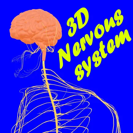 Human Nervous system Cheats