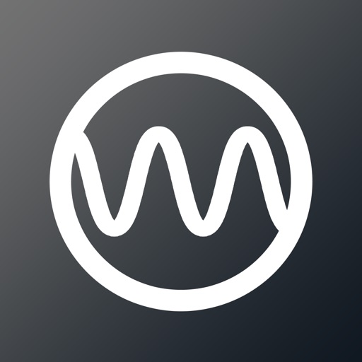 Wave - MP3 & FLAC Music Player iOS App